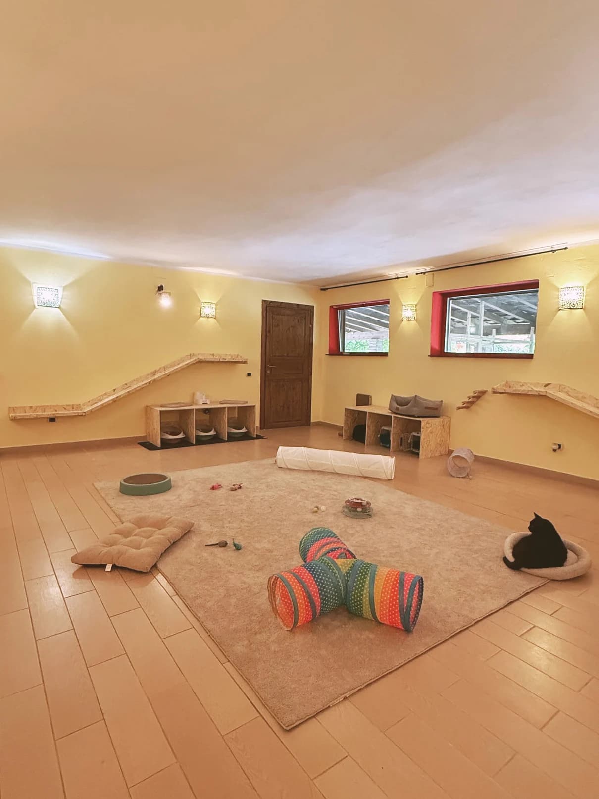 Ambiente della pensione con percorsi in legno, giochi e tappeto